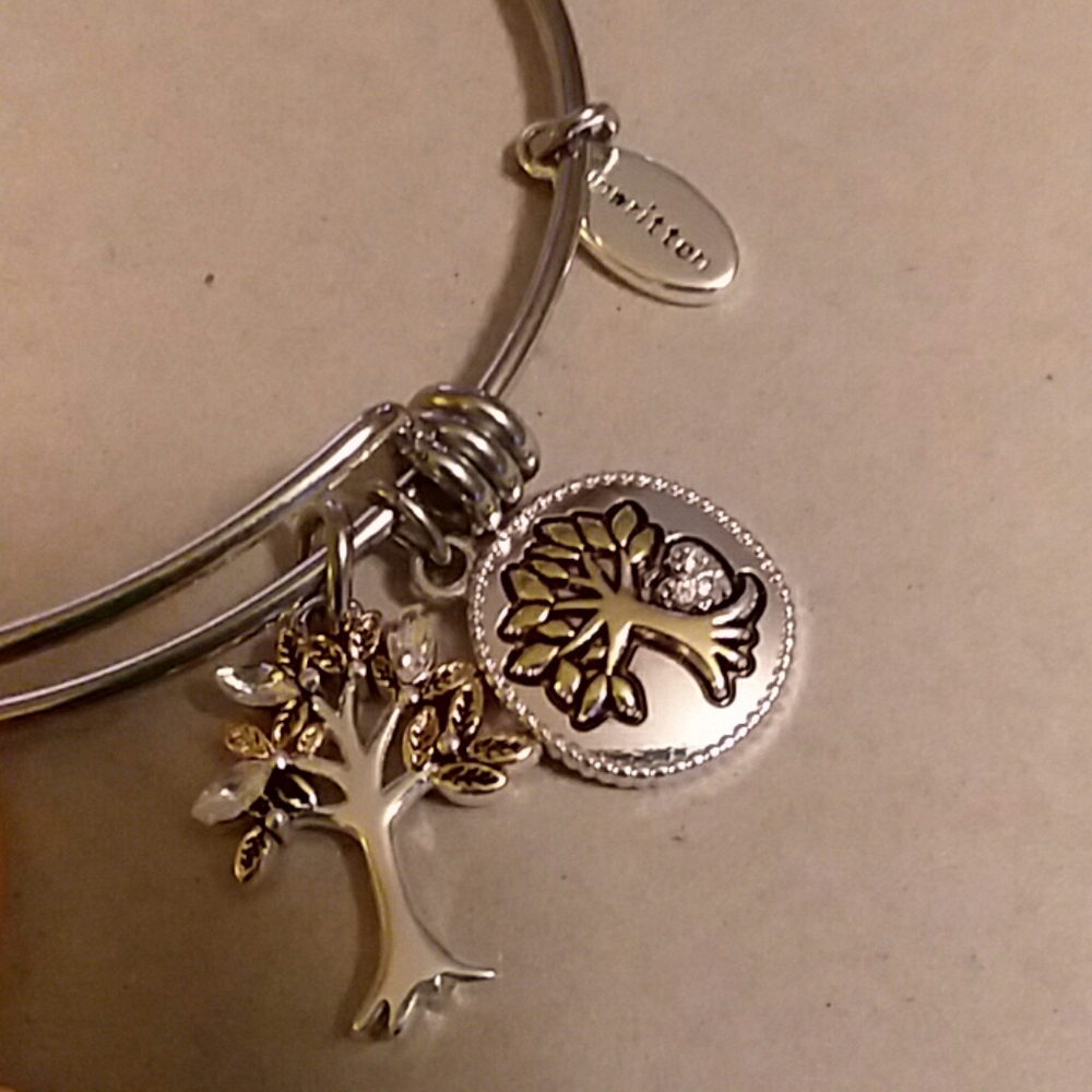 Two Charm Bracelets - Picture 3 of 4